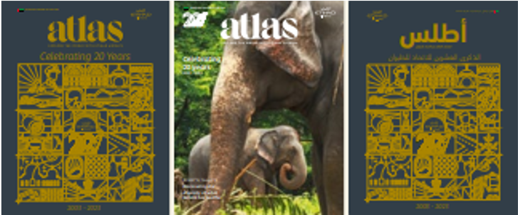 ATLAS: Etihad Havayolları'nın  Uçakiçi Dergisi Yeniden Yayında